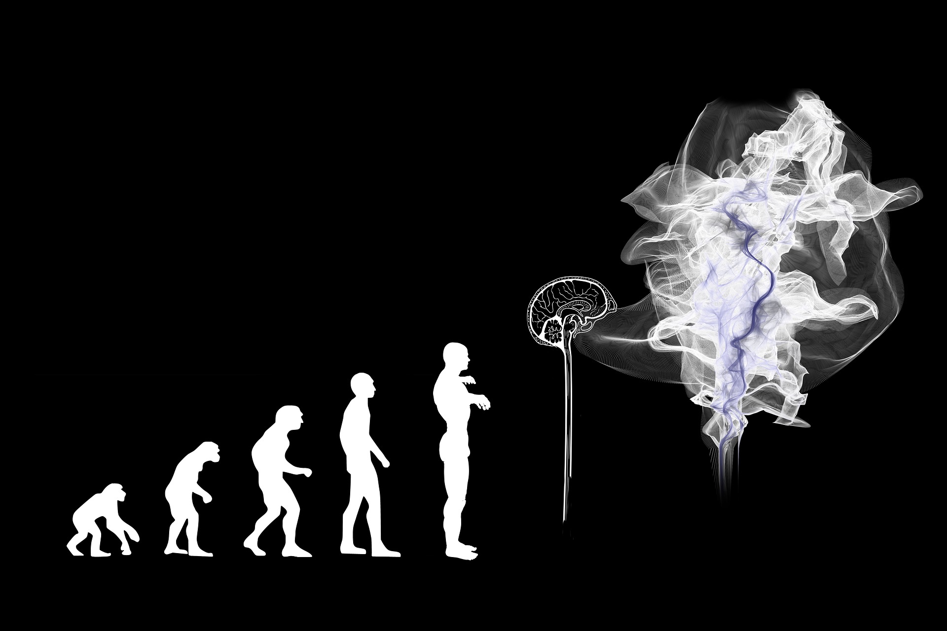 Grafika ewolucji człowiek aod małpy do mózgu w chmurze
