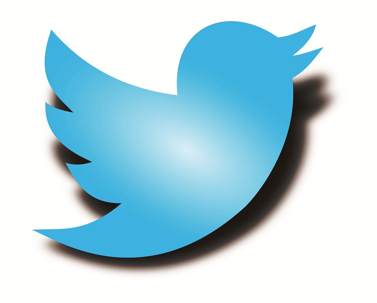 Logo Twittera (niebieski ptak)