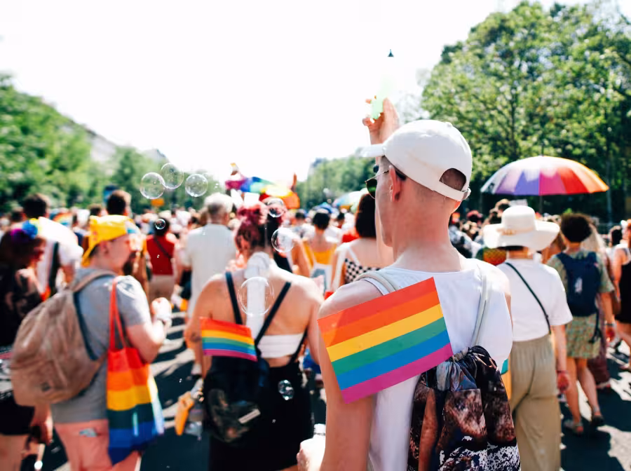 Budapest Pride, ludzie z tęczowymi flagami