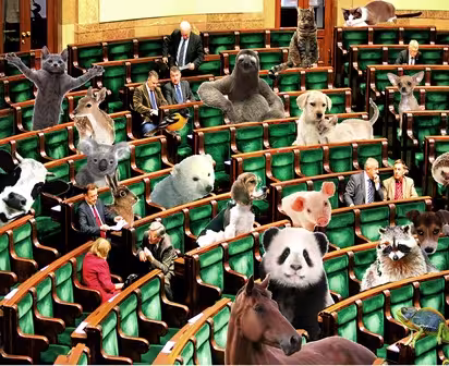 Element dekoracyjny - plakat wydarzenia