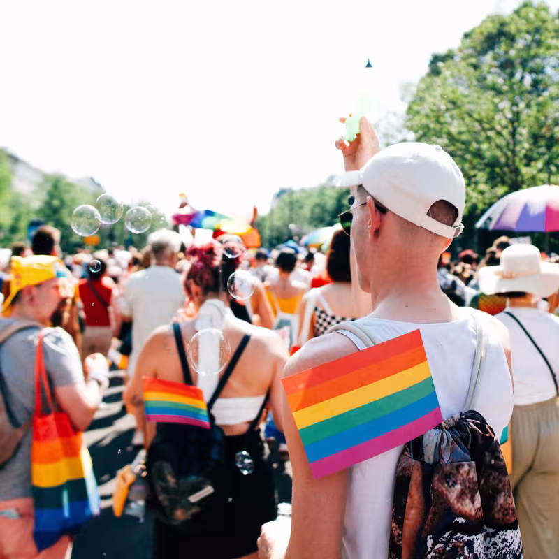 Budapest Pride, ludzie z tęczowymi flagami