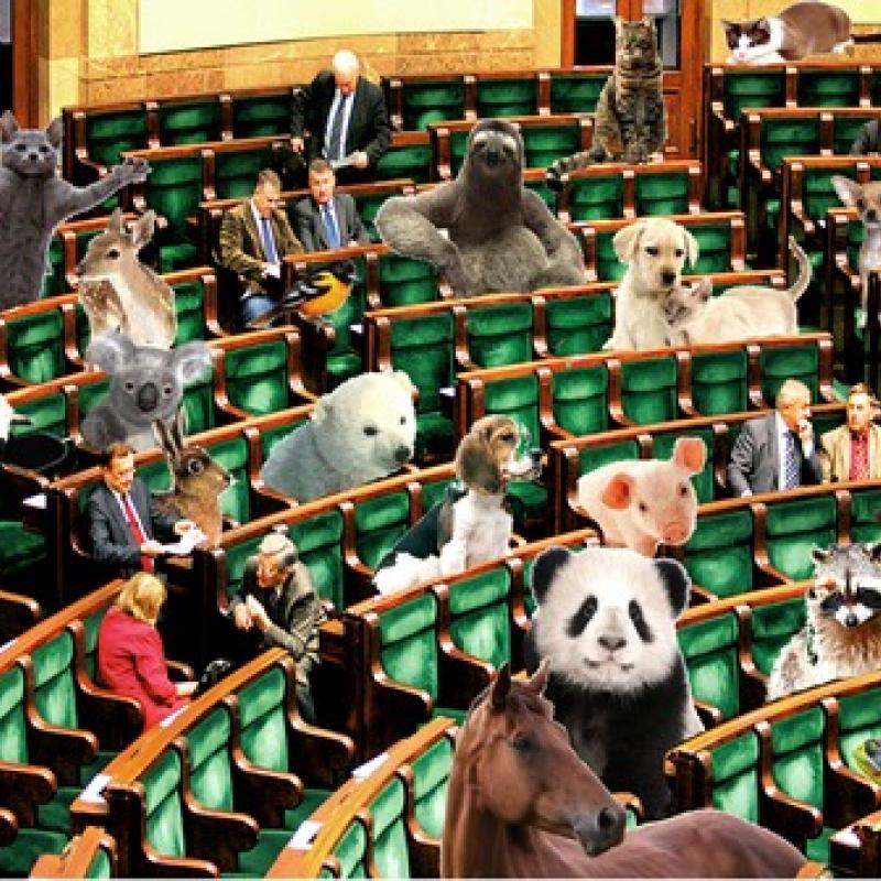 Element dekoracyjny - plakat wydarzenia